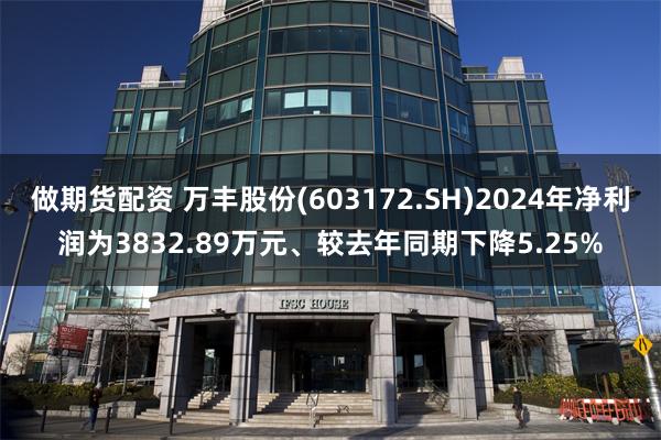 做期货配资 万丰股份(603172.SH)2024年净利润为3832.89万元、较去年同期下降5.25%