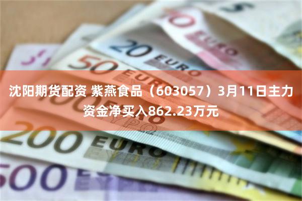沈阳期货配资 紫燕食品（603057）3月11日主力资金净买入862.23万元