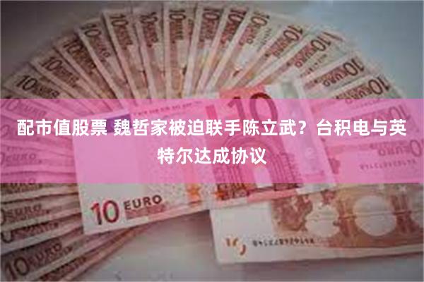 配市值股票 魏哲家被迫联手陈立武？台积电与英特尔达成协议