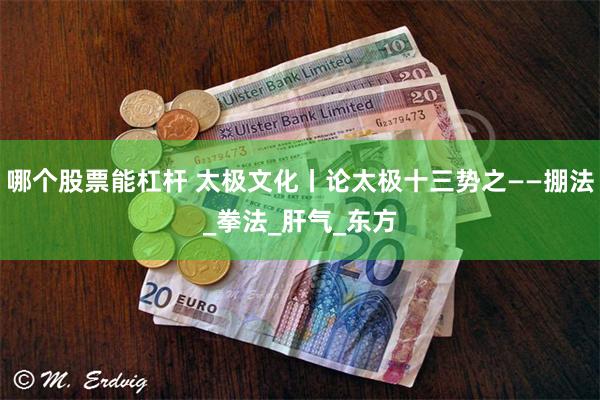 哪个股票能杠杆 太极文化丨论太极十三势之——掤法_拳法_肝气_东方