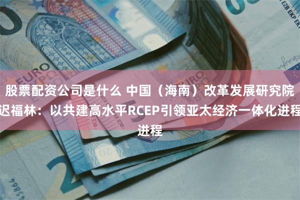 股票配资公司是什么 中国（海南）改革发展研究院迟福林：以共建高水平RCEP引领亚太经济一体化进程