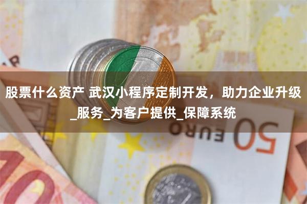 股票什么资产 武汉小程序定制开发，助力企业升级_服务_为客户提供_保障系统
