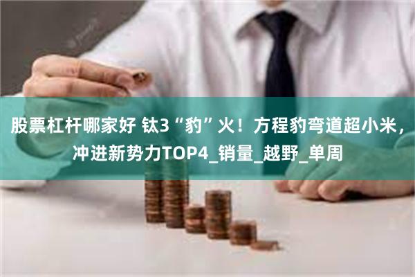 股票杠杆哪家好 钛3“豹”火！方程豹弯道超小米，冲进新势力TOP4_销量_越野_单周