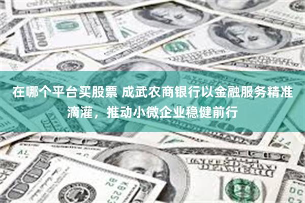 在哪个平台买股票 成武农商银行以金融服务精准滴灌，推动小微企业稳健前行