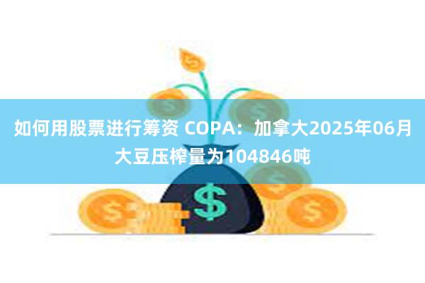 如何用股票进行筹资 COPA：加拿大2025年06月大豆压榨量为104846吨