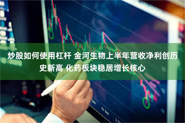 炒股如何使用杠杆 金河生物上半年营收净利创历史新高 化药板块稳居增长核心