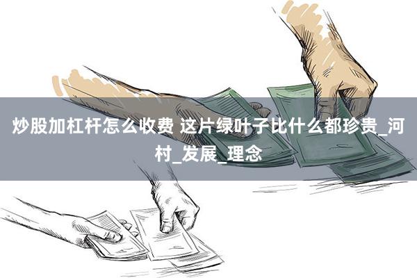 炒股加杠杆怎么收费 这片绿叶子比什么都珍贵_河村_发展_理念