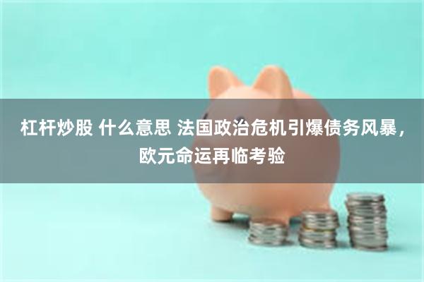 杠杆炒股 什么意思 法国政治危机引爆债务风暴，欧元命运再临考验