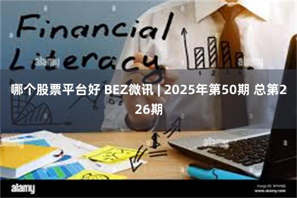 哪个股票平台好 BEZ微讯 | 2025年第50期 总第226期