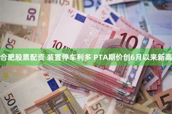 合肥股票配资 装置停车利多 PTA期价创6月以来新高