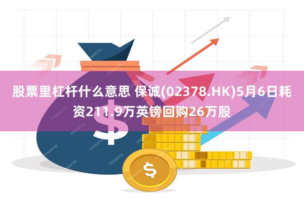 股票里杠杆什么意思 保诚(02378.HK)5月6日耗资211.9万英镑回购26万股