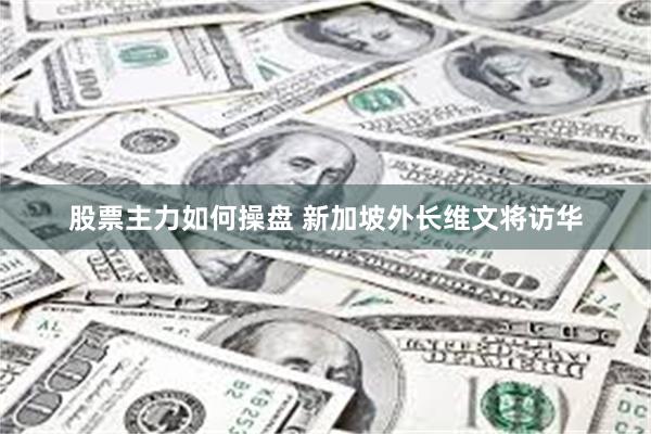 股票主力如何操盘 新加坡外长维文将访华