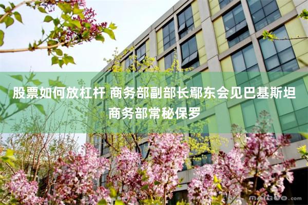 股票如何放杠杆 商务部副部长鄢东会见巴基斯坦商务部常秘保罗
