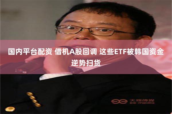 国内平台配资 借机A股回调 这些ETF被韩国资金逆势扫货