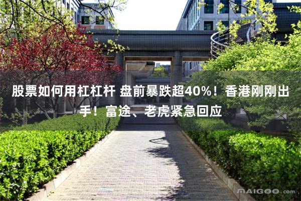 股票如何用杠杠杆 盘前暴跌超40%！香港刚刚出手！富途、老虎紧急回应