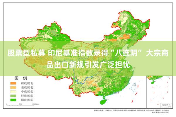 股票型私募 印尼基准指数录得“八连阴” 大宗商品出口新规引发广泛担忧
