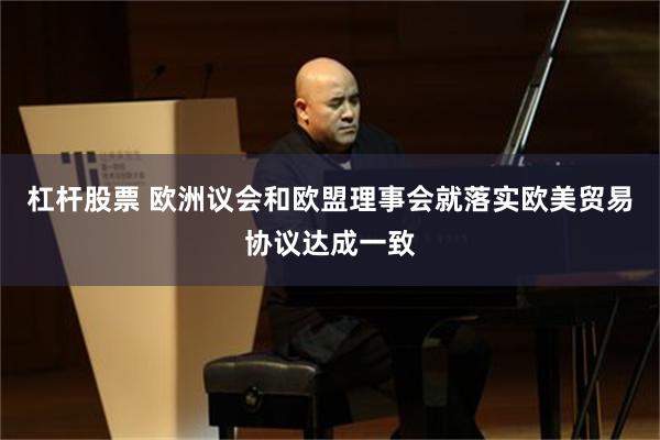 杠杆股票 欧洲议会和欧盟理事会就落实欧美贸易协议达成一致
