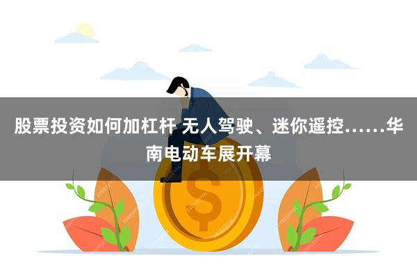 股票投资如何加杠杆 无人驾驶、迷你遥控……华南电动车展开幕