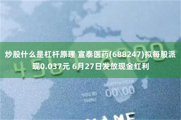 炒股什么是杠杆原理 宣泰医药(688247)拟每股派现0.037元 6月27日发放现金红利