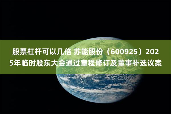 股票杠杆可以几倍 苏能股份（600925）2025年临时股东大会通过章程修订及董事补选议案