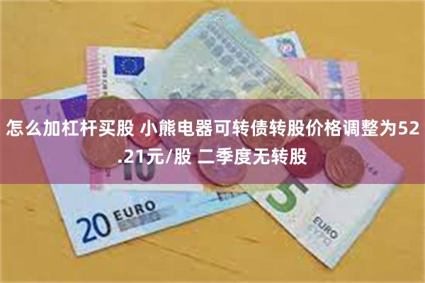 怎么加杠杆买股 小熊电器可转债转股价格调整为52.21元/股 二季度无转股
