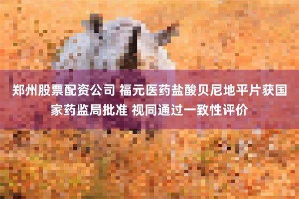 郑州股票配资公司 福元医药盐酸贝尼地平片获国家药监局批准 视同通过一致性评价