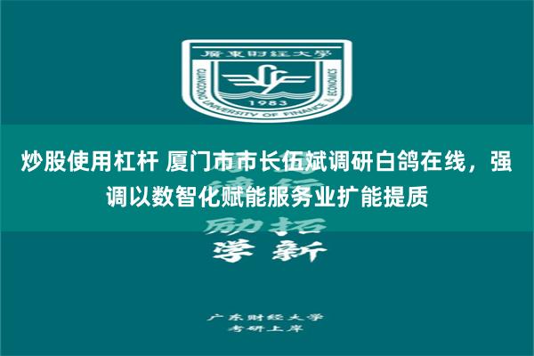 炒股使用杠杆 厦门市市长伍斌调研白鸽在线，强调以数智化赋能服务业扩能提质