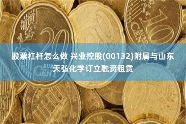 股票杠杆怎么做 兴业控股(00132)附属与山东天弘化学订立融资租赁