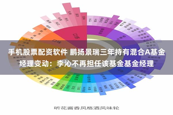 手机股票配资软件 鹏扬景瑞三年持有混合A基金经理变动:李沁不再担任该基金基金经理