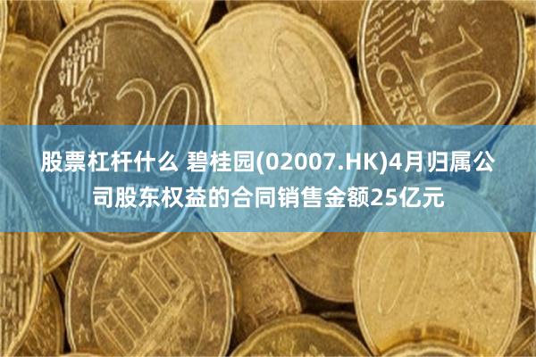 股票杠杆什么 碧桂园(02007.HK)4月归属公司股东权益的合同销售金额25亿元