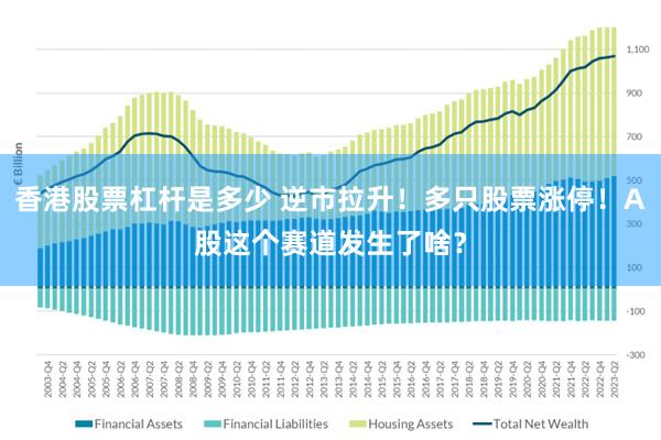 香港股票杠杆是多少 逆市拉升！多只股票涨停！A股这个赛道发生了啥？