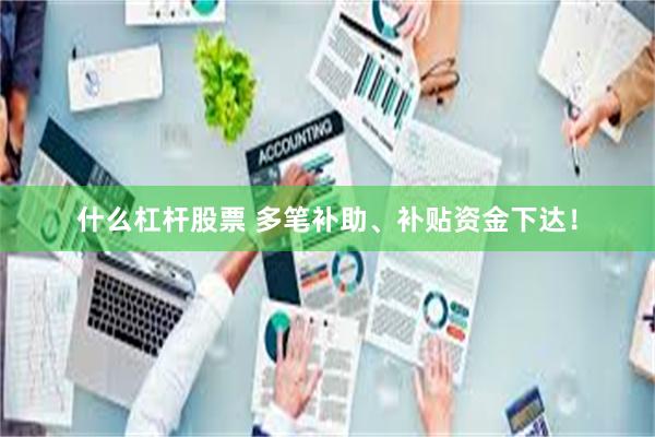 什么杠杆股票 多笔补助、补贴资金下达！
