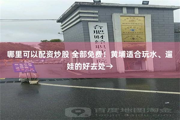 哪里可以配资炒股 全部免费！黄埔适合玩水、遛娃的好去处→