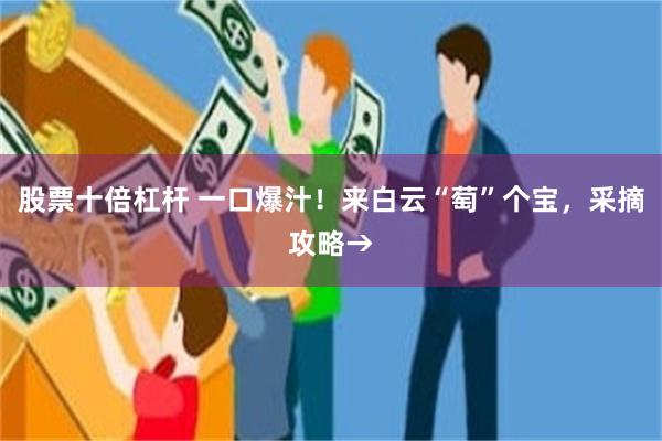 股票十倍杠杆 一口爆汁！来白云“萄”个宝，采摘攻略→