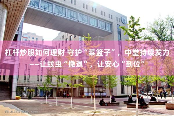 杠杆炒股如何理财 守护“菜篮子”，中堂持续发力——让蚊虫“撤退”，让安心“到位”