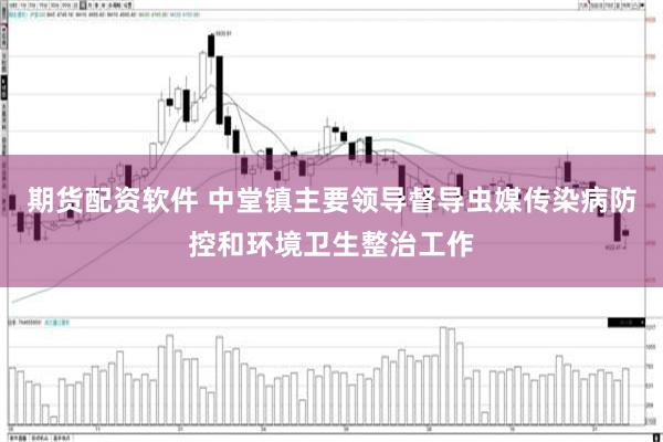 期货配资软件 中堂镇主要领导督导虫媒传染病防控和环境卫生整治工作