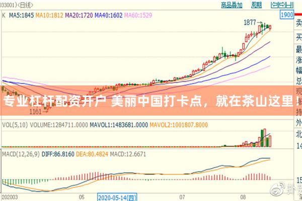 专业杠杆配资开户 美丽中国打卡点，就在茶山这里！