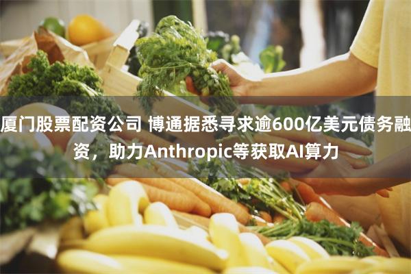 厦门股票配资公司 博通据悉寻求逾600亿美元债务融资，助力Anthropic等获取AI算力