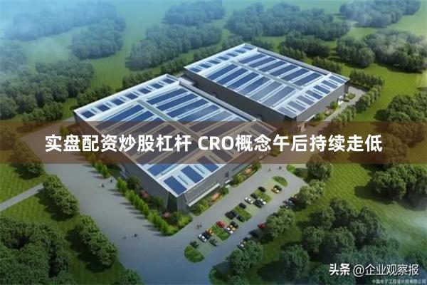 实盘配资炒股杠杆 CRO概念午后持续走低