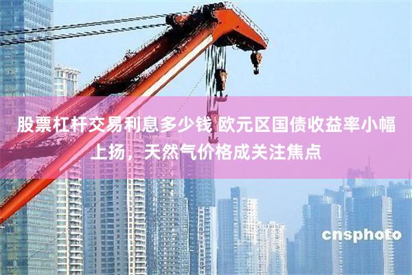 股票杠杆交易利息多少钱 欧元区国债收益率小幅上扬，天然气价格成关注焦点