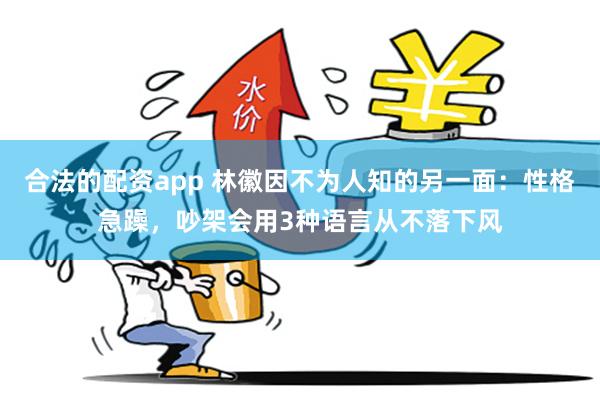 合法的配资app 林徽因不为人知的另一面：性格急躁，吵架会用3种语言从不落下风