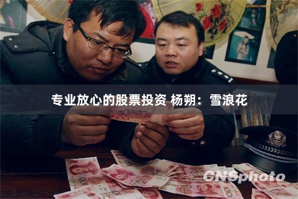 专业放心的股票投资 杨朔：雪浪花