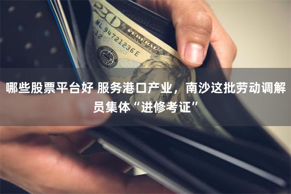 哪些股票平台好 服务港口产业，南沙这批劳动调解员集体“进修考证”