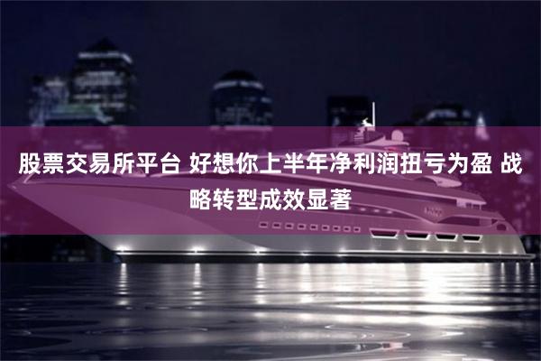 股票交易所平台 好想你上半年净利润扭亏为盈 战略转型成效显著
