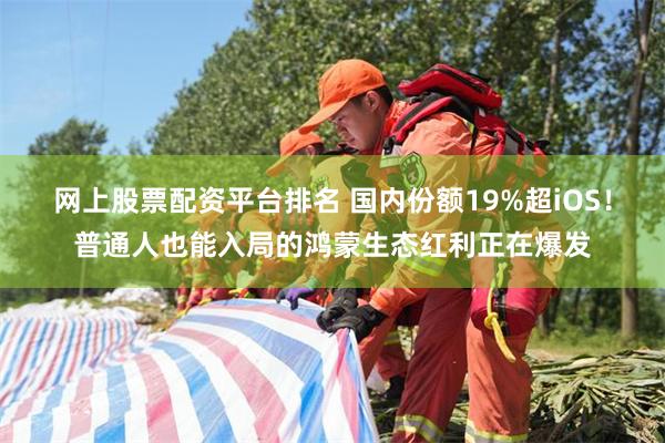 网上股票配资平台排名 国内份额19%超iOS!普通人也能入局的鸿蒙生态红利正在爆发