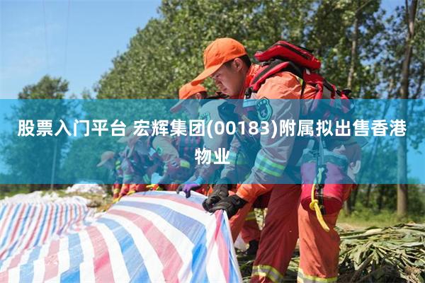 股票入门平台 宏辉集团(00183)附属拟出售香港物业