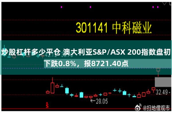 炒股杠杆多少平仓 澳大利亚S&P/ASX 200指数盘初下跌0.8%，报8721.40点