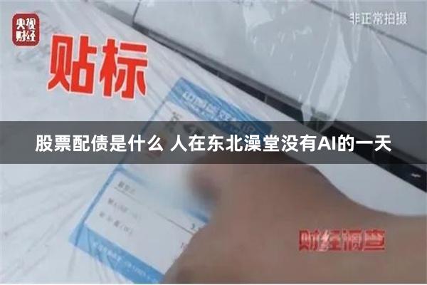 股票配债是什么 人在东北澡堂没有AI的一天