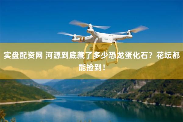实盘配资网 河源到底藏了多少恐龙蛋化石？花坛都能捡到！