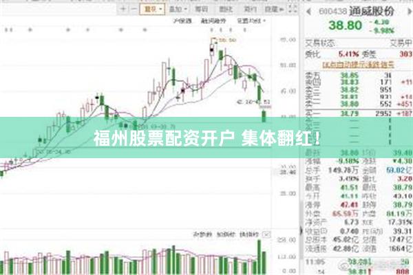 福州股票配资开户 集体翻红！